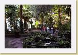 DCP_1216 * The botanical gardens at the pier had a water show. * 360 x 240 * (18KB)