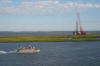 Cindy's Chincoteague Trip Birthday