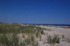 Cindy's Chincoteague Trip Birthday