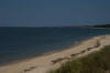 Cindy's Chincoteague Trip Birthday