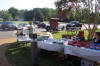 Fall Music Festival